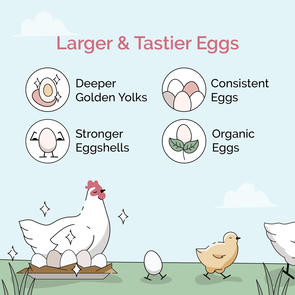Protein | Soy-Free, Mile Organic, Organic Non-GMO, Chicken 18% Grown | US Chicken Four Grains, | Corn-Free, Grain Feed Whole Certified 100% Non-Medicated Food Grower | Certified 46 lbs. |
