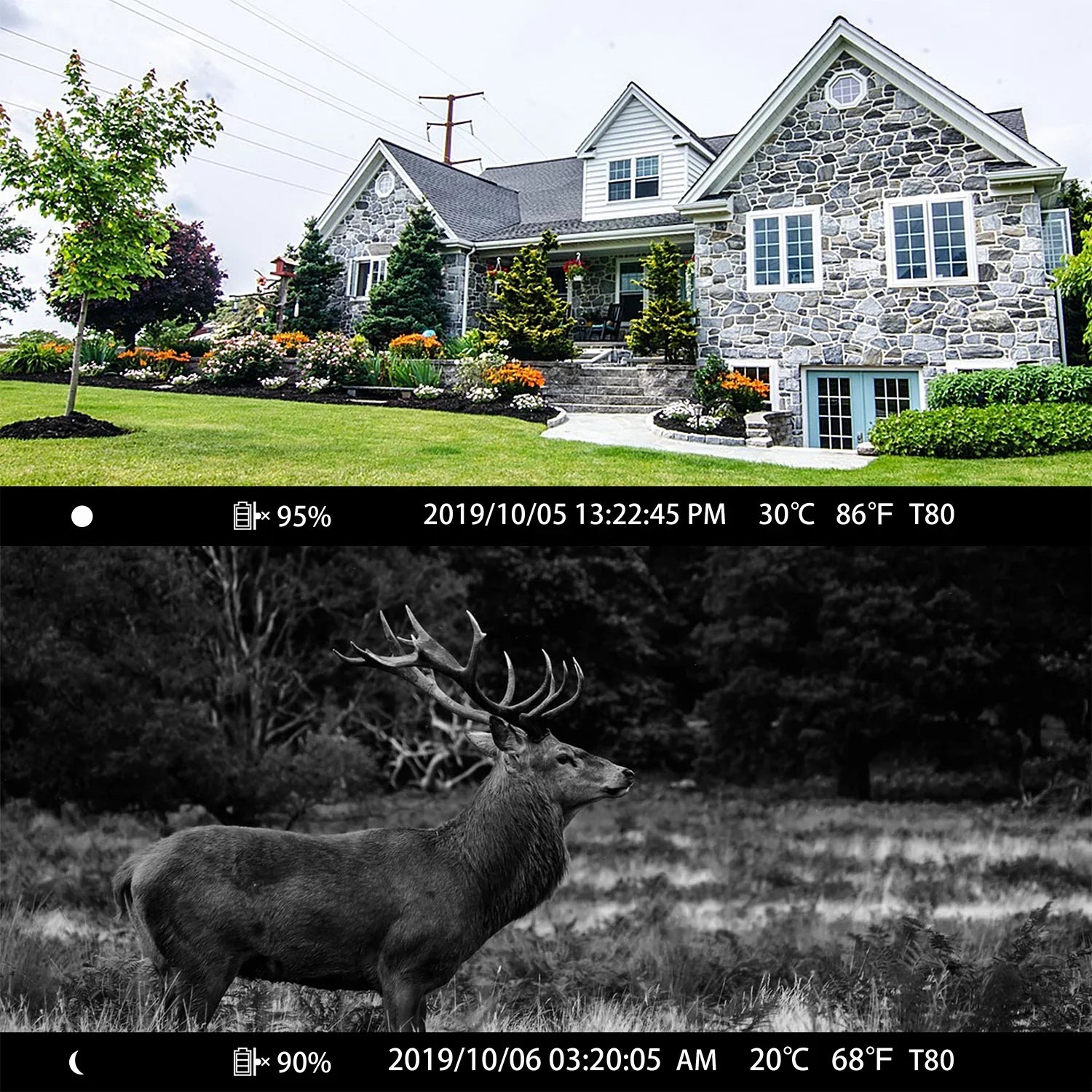 30MP Wildlife IP66 Infrared with with Night Camera for WiFi Motion Waterproof Trail Camera Hunting Vision CAMPARK Activated Trail Camera 1296P Game Monitoring Bluetooth