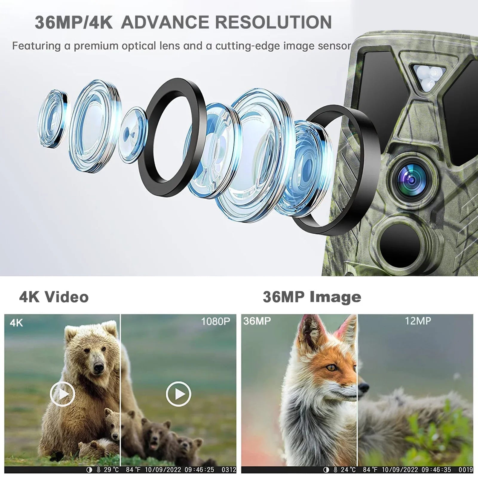 Hunting with LED Monitors Wildlife Vision with SuntekCam Card Waterproof HC-812A Monitor 4K Trail 36MP TF Camera Wildgame 32GB Camera Night Hunting IR Trail Trail