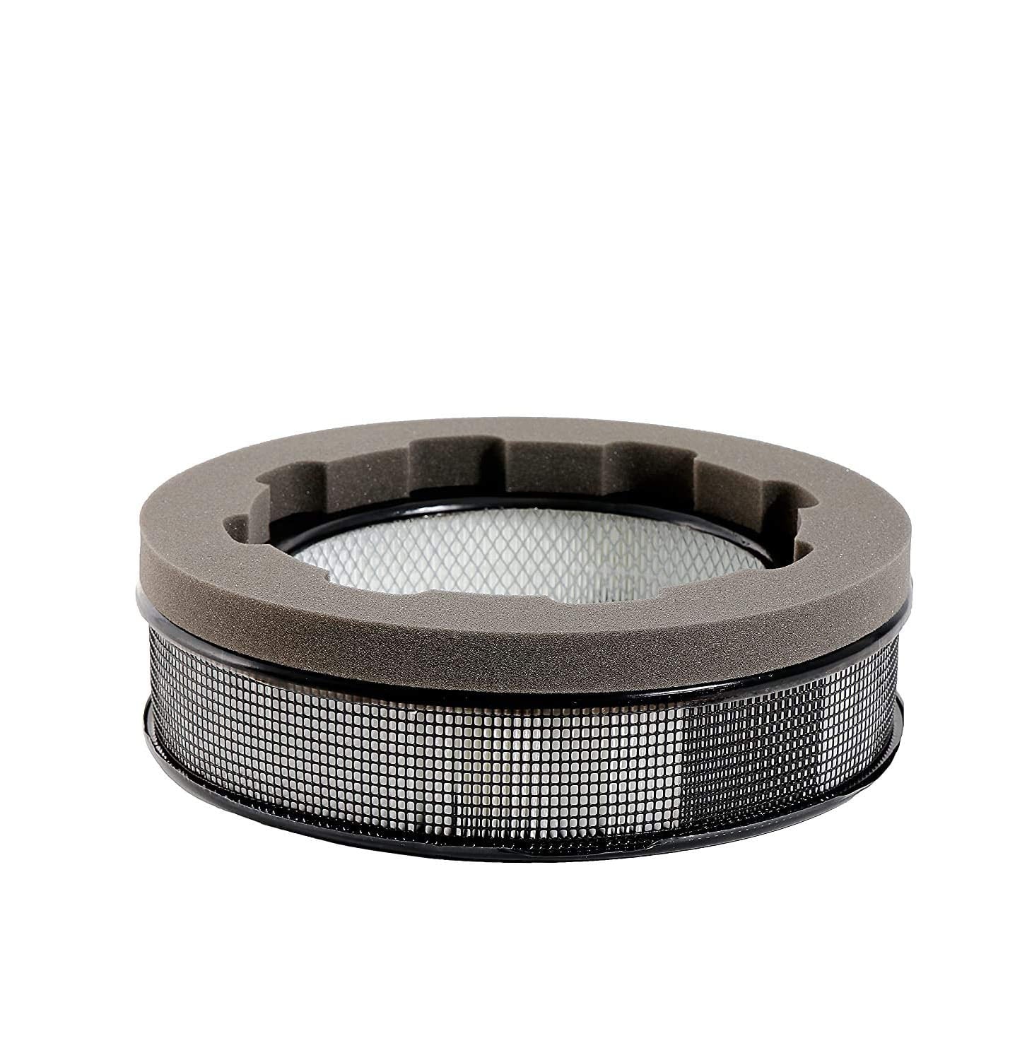 F Filter Filter Replacement Air LifeSupplyUSA with Purifier HRF-F1, HEPA Honeywell 14" Universal Compatible