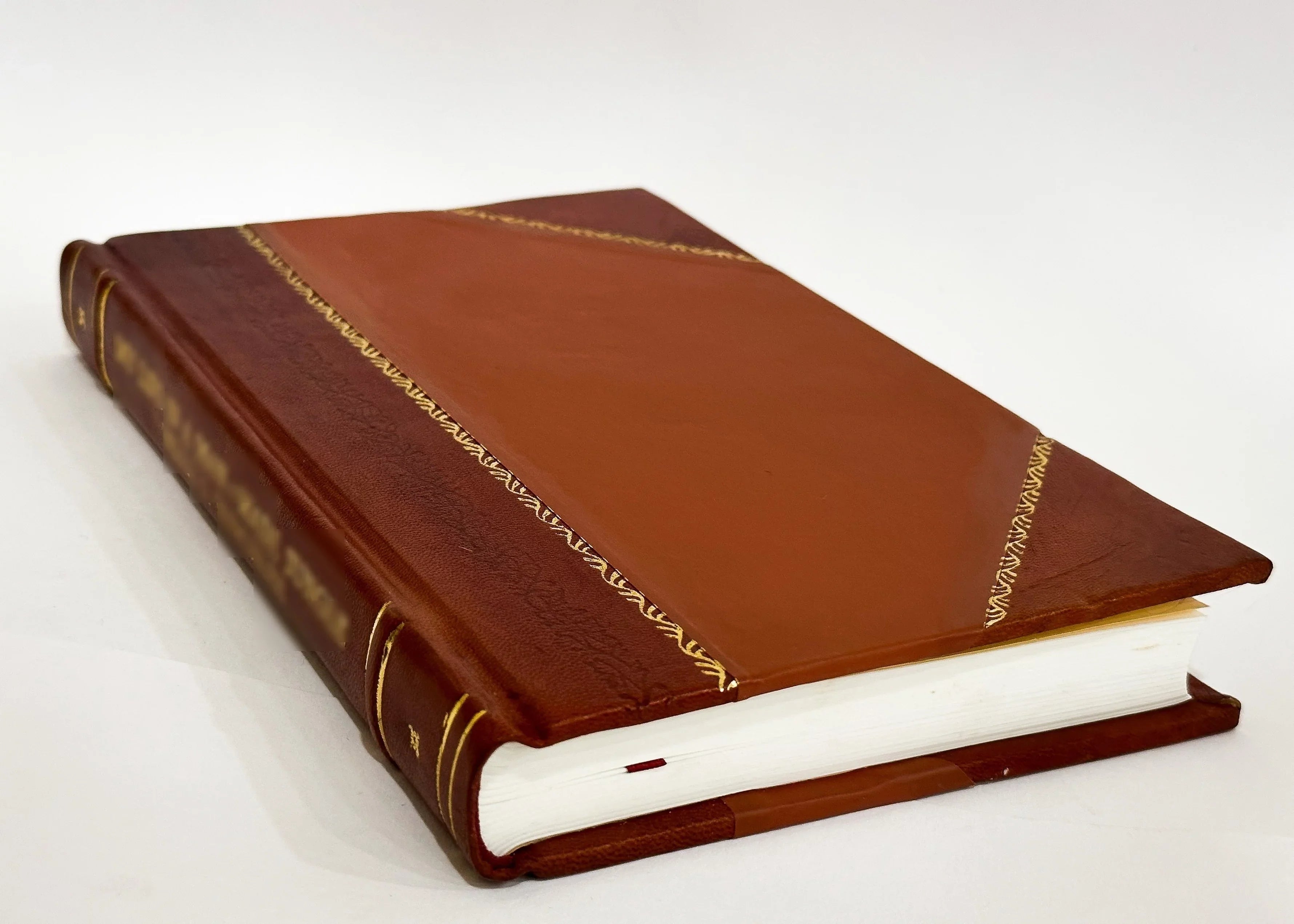 (1896) / Volume 2 Annie Stories [Leather Chase, (1896) from Bound] Birdland