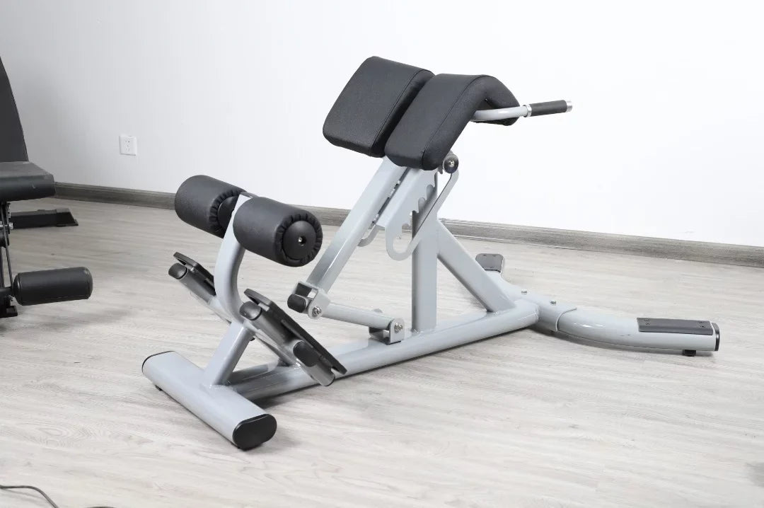Silver Back French Fitness FFS Hyperextension Extension (New) 45 Degree
