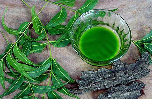 Neem Nimbarka Face and 85gm Scrub Handmade Neem Soap 125gm