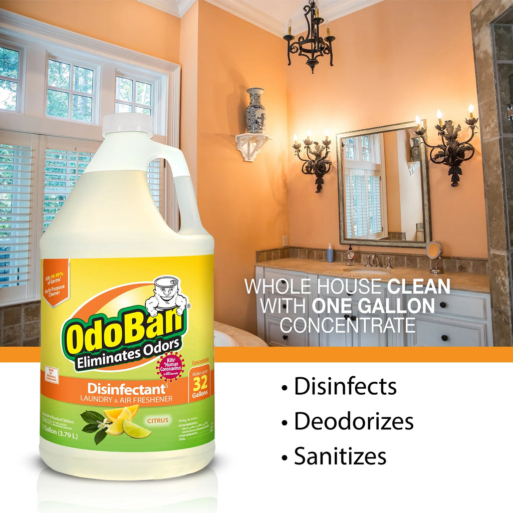 14 Set, 360-Degree Ounce OdoBan Citrus Aroma Scent Air Concentrate, Gallon Natural Eliminator Freshener, Orange Spray Real 10 Absorber Disinfectant Cleaning Oil Continuous 1 Solid Ounce Multipurpose