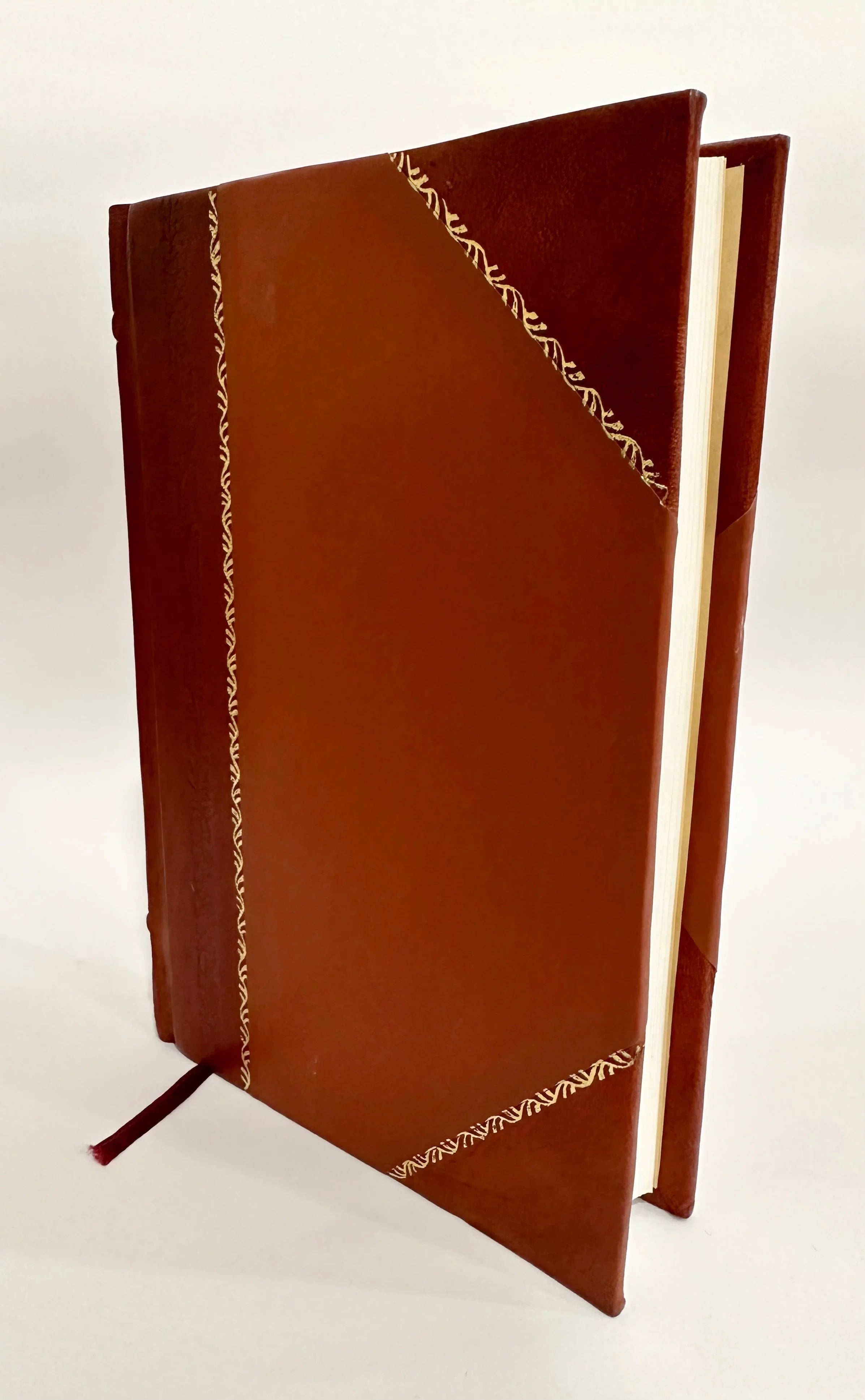 (1896) / Volume 2 Annie Stories [Leather Chase, (1896) from Bound] Birdland
