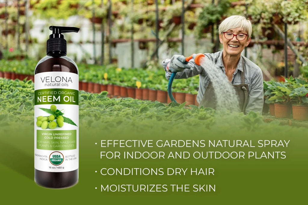 Body Organic | and Cold Hair, 100% USDA Skin - | Oil | Enjoy Virgin, Unrefined, Results Care Oil Pressed Carrier and 24 | Certified oz Velona Neem Use - Today Natural Pure