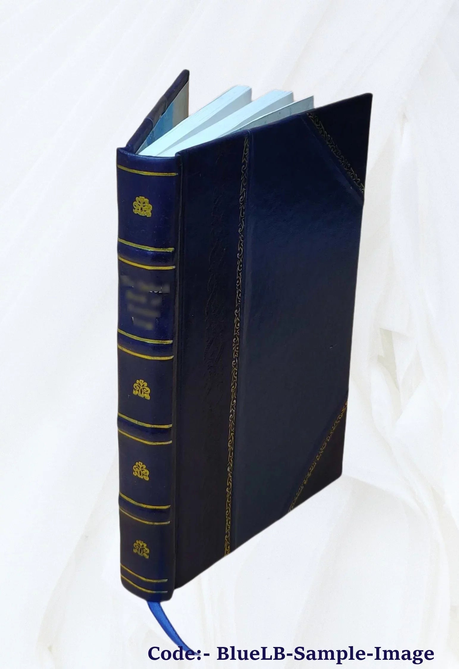 mei 1573 [Leather Volume xuan Jing huang Bound] 2 shi gu