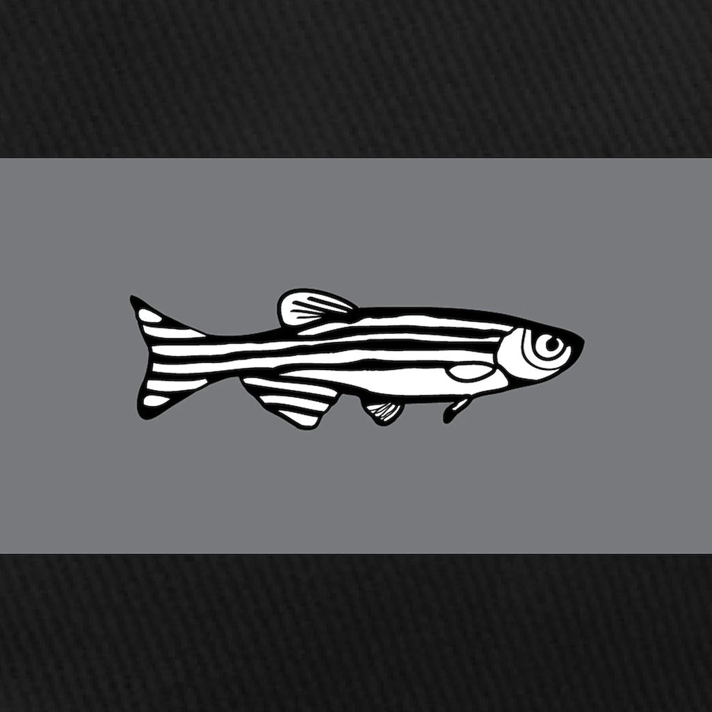 Adjustable Black Printed Black Hat - Canvas Zebrafish CafePress - Baseball Cap Cotton