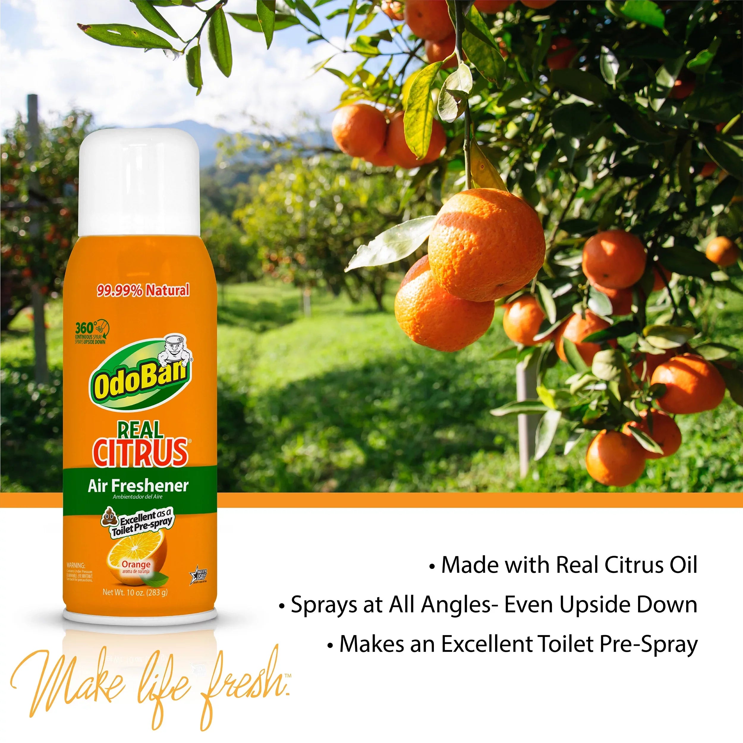 14 Set, 360-Degree Ounce OdoBan Citrus Aroma Scent Air Concentrate, Gallon Natural Eliminator Freshener, Orange Spray Real 10 Absorber Disinfectant Cleaning Oil Continuous 1 Solid Ounce Multipurpose