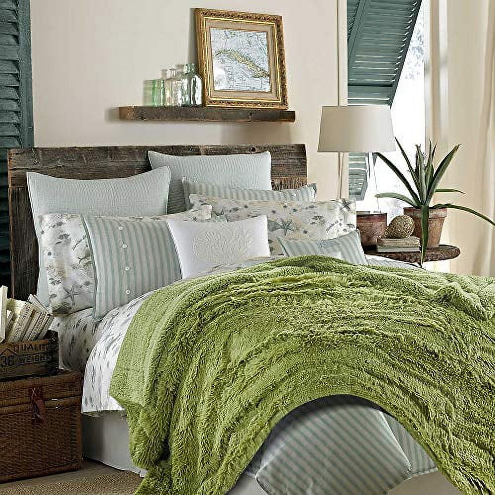 | Cozy For Couch Green Elegant Fuzzy Lightweight 50 Photo Super Blanket Plush Chanasya Soft - Throw 65" Chair Blanket | Shaggy Sherpa Bed Longfur Microfiber - "x Snuggly Fleece Faux Fur Warm Props