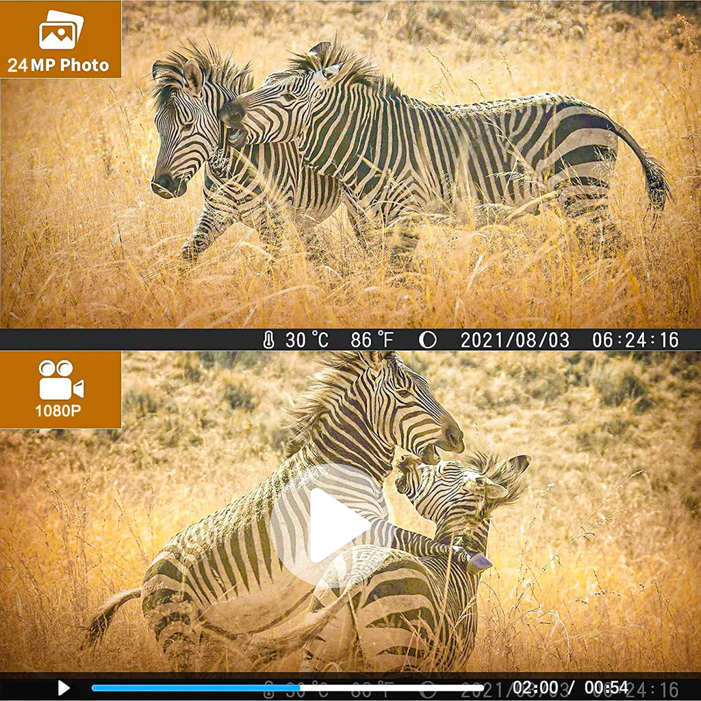 Hunting with LED Monitors Wildlife Vision with SuntekCam Card Waterproof HC-812A Monitor 4K Trail 36MP TF Camera Wildgame 32GB Camera Night Hunting IR Trail Trail