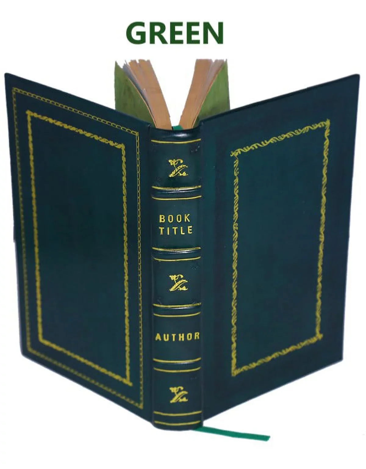 animadve novas anatomicae Morgagni, Societatis Sodalis, Baptistae & [Premium Professoris Londinensis Leather Joannis Primarii Regiae Bound] Epistolae observationes duae et Patavini