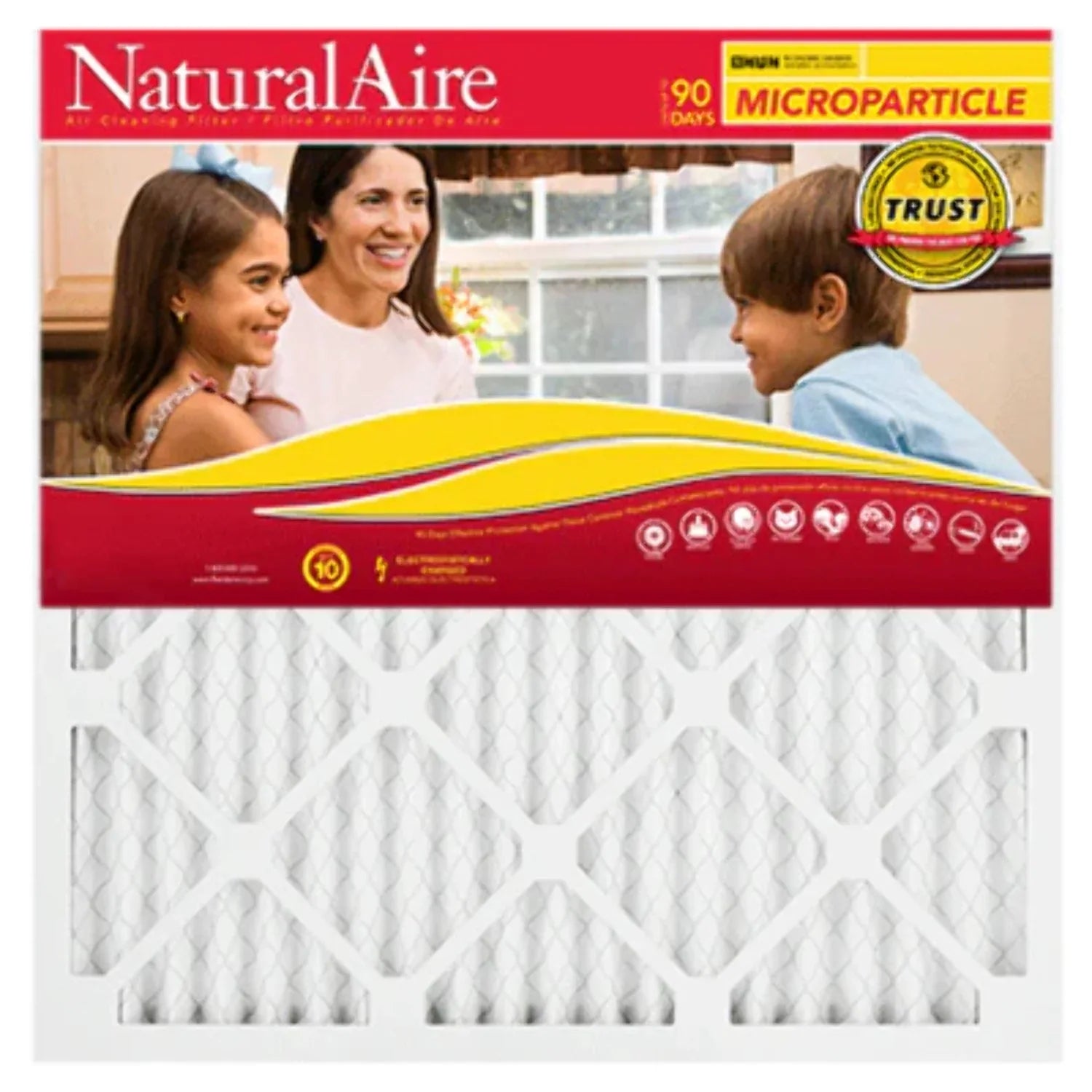 85256.011830 (6 18x30x1 pack) Microparticle 10 NaturalAire Filters MERV