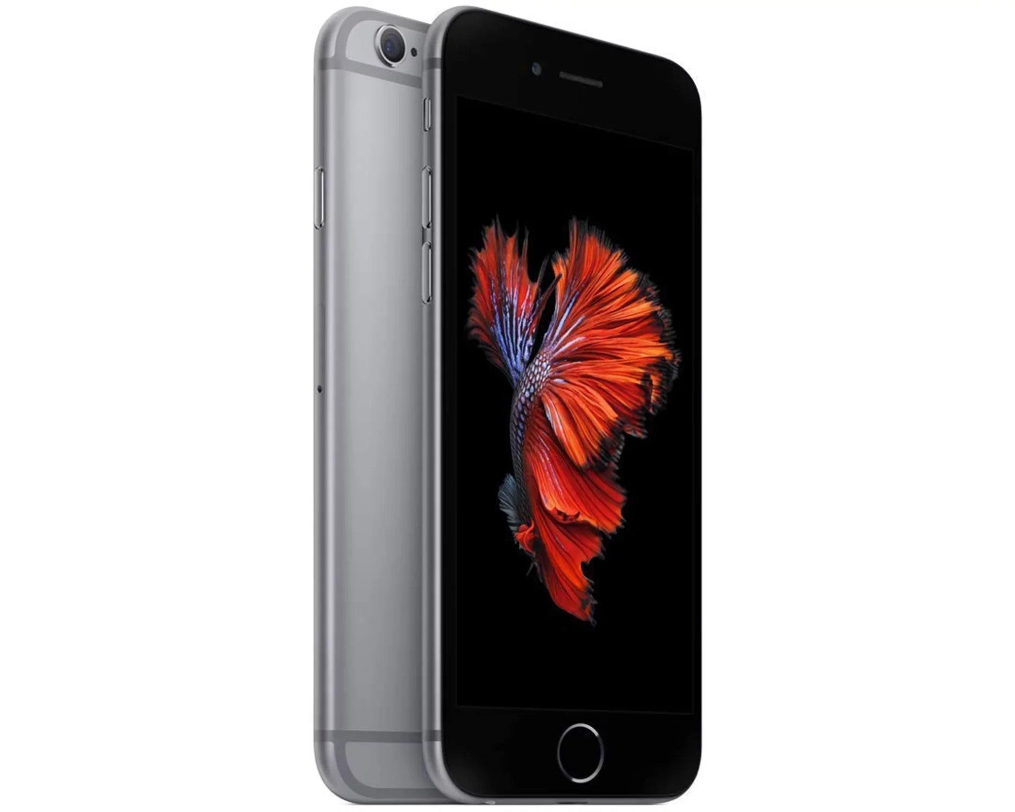 Space / iPhone Restored 16GB, Gray 6s Unlocked CDMA - (Refurbished) GSM Apple