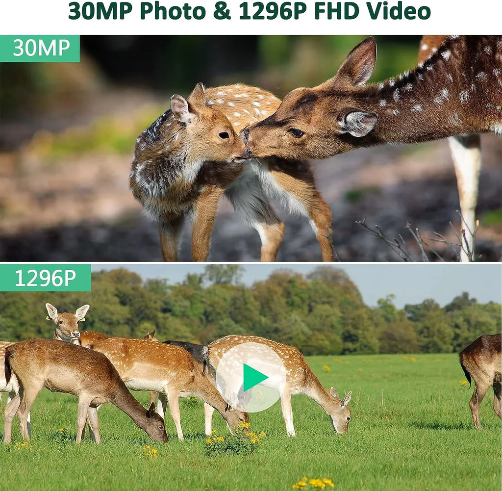 30MP Wildlife IP66 Infrared with with Night Camera for WiFi Motion Waterproof Trail Camera Hunting Vision CAMPARK Activated Trail Camera 1296P Game Monitoring Bluetooth