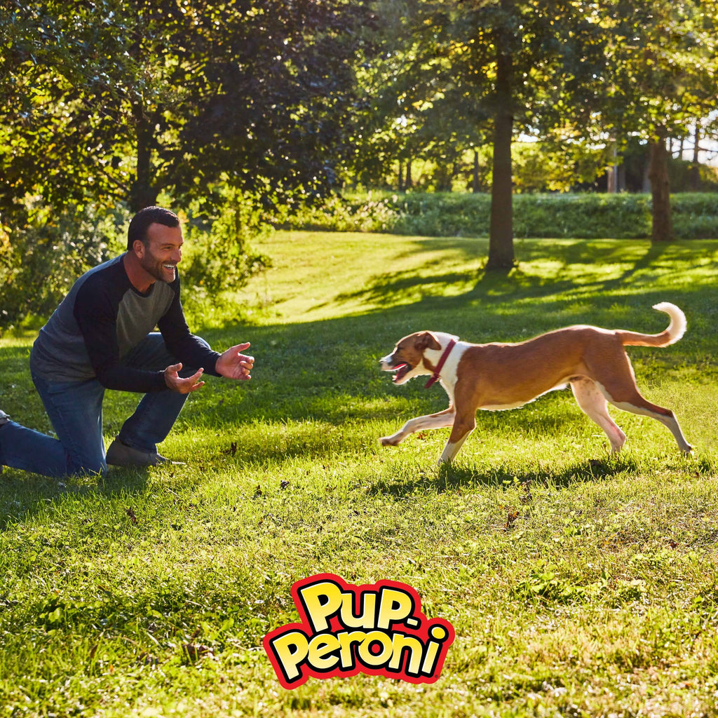 Dog Bag 8) Pup-Peroni Mignon & Treats, Flavor (Pack Filet of Bacon 5.6oz