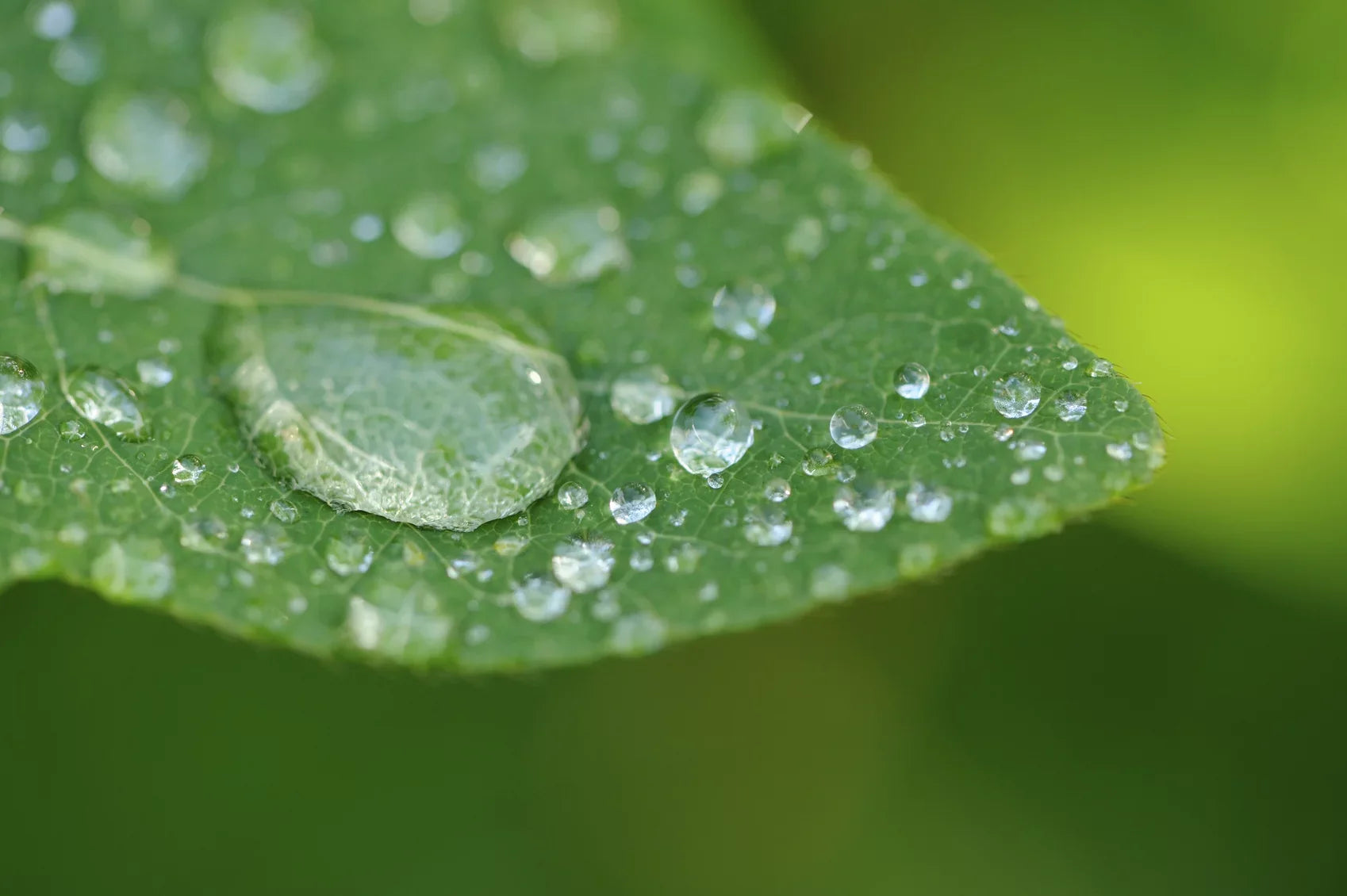 (67mm) Element Definition (Macro) 2 18-200mm E-Mount f/3.5-6.3 Close-Up 10x Sony Lens High