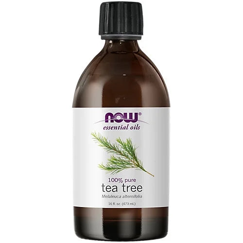 Now, Pure Oil, Tree Aromatherapy Tea 16oz 100%