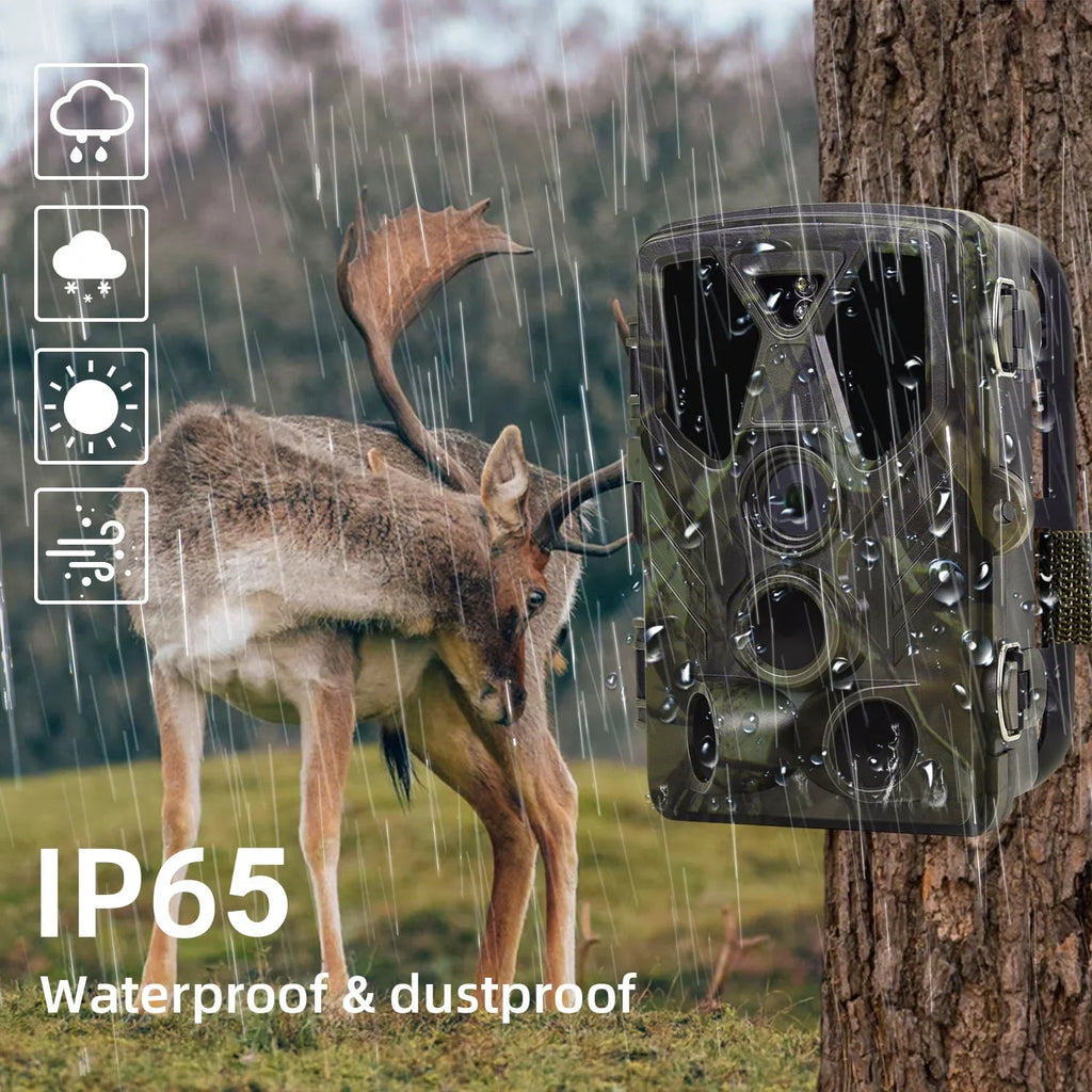 Hunting with LED Monitors Wildlife Vision with SuntekCam Card Waterproof HC-812A Monitor 4K Trail 36MP TF Camera Wildgame 32GB Camera Night Hunting IR Trail Trail