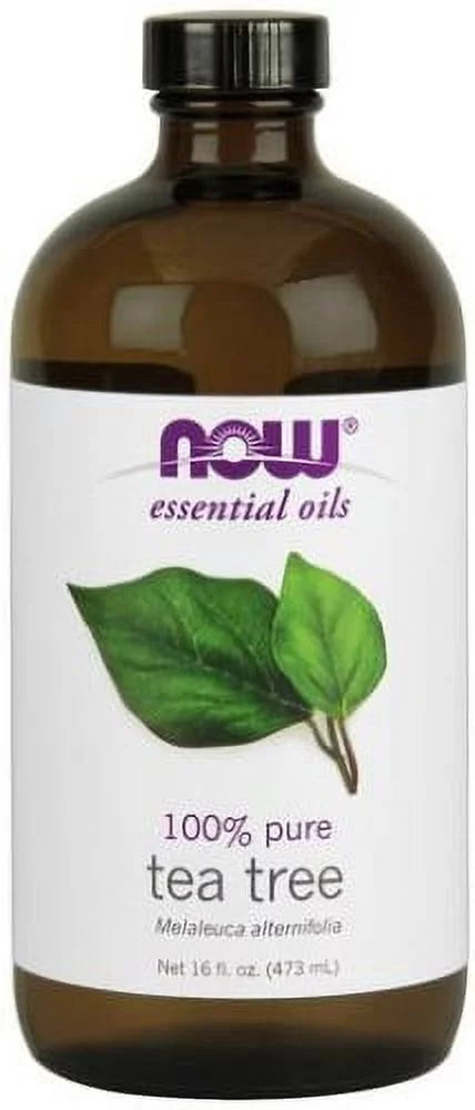 Now, Pure Oil, Tree Aromatherapy Tea 16oz 100%