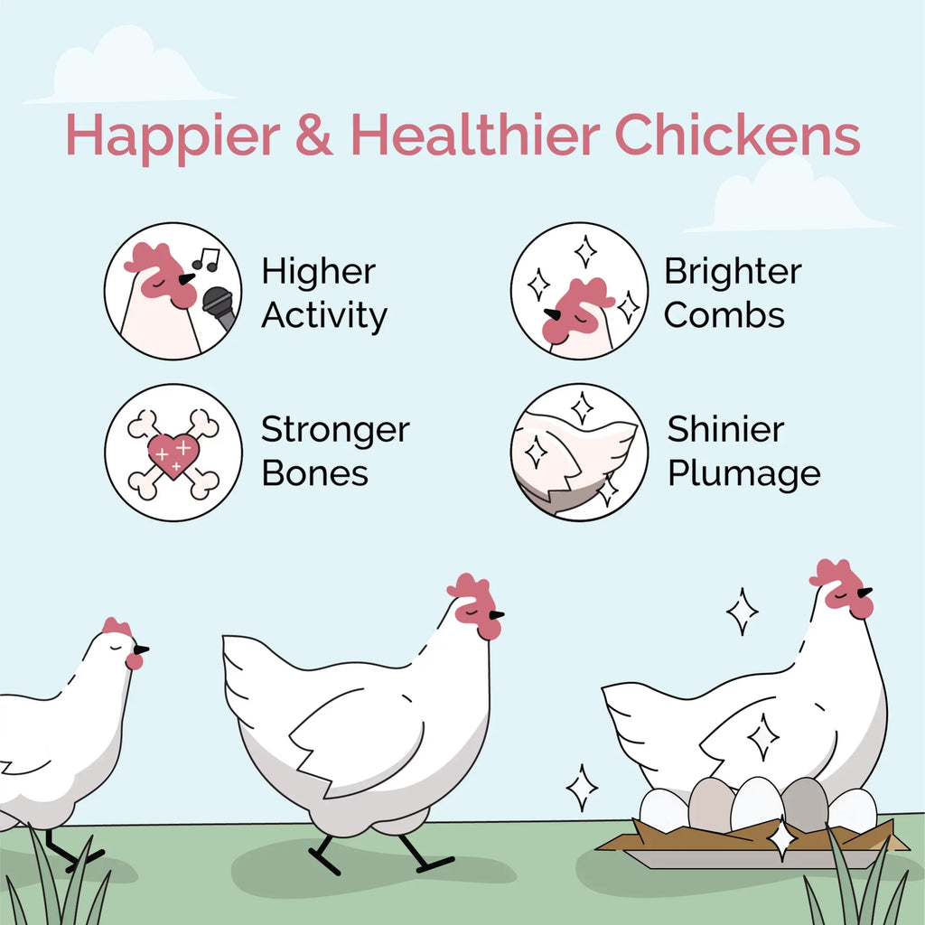 Protein | Soy-Free, Mile Organic, Organic Non-GMO, Chicken 18% Grown | US Chicken Four Grains, | Corn-Free, Grain Feed Whole Certified 100% Non-Medicated Food Grower | Certified 46 lbs. |