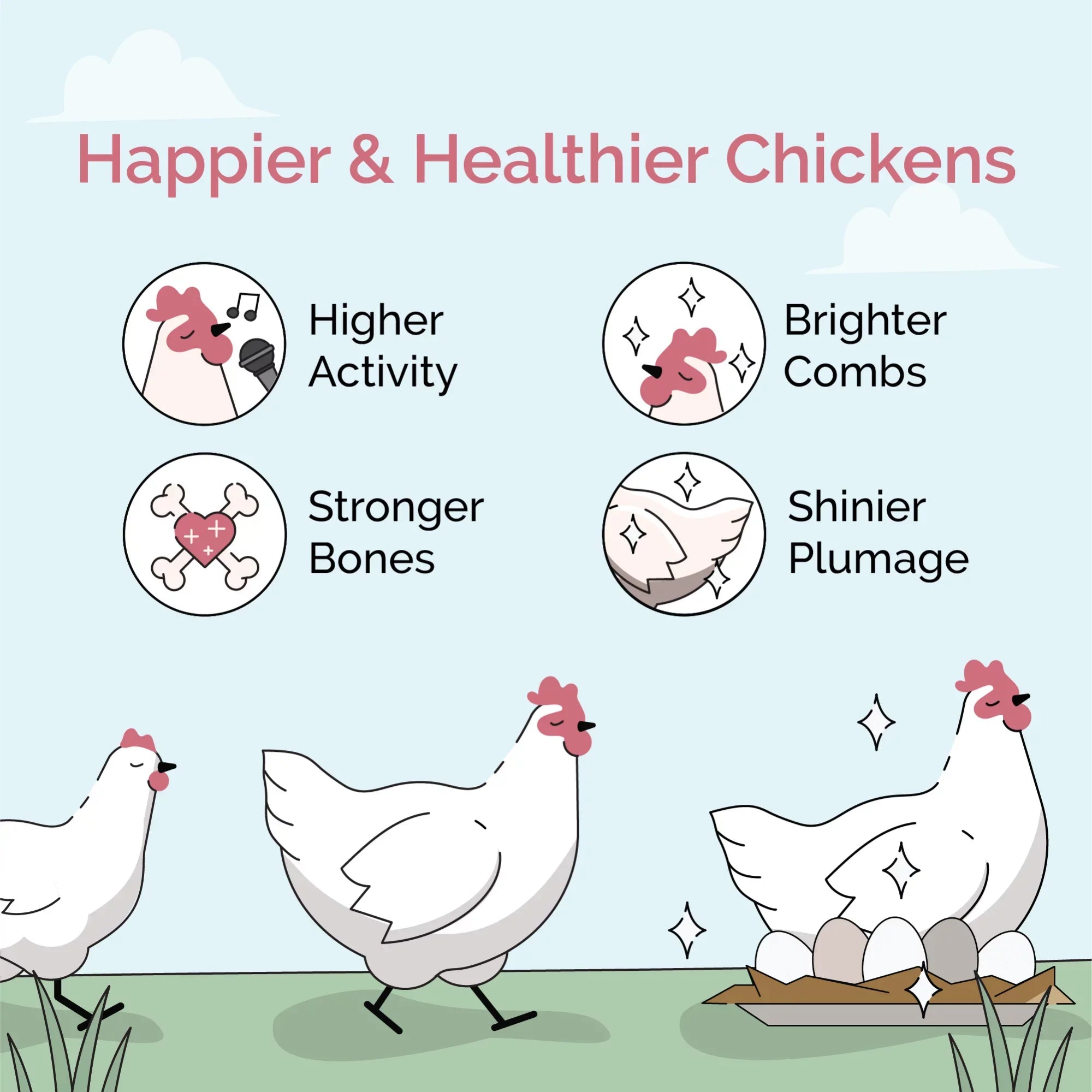 Protein | Soy-Free, Mile Organic, Organic Non-GMO, Chicken 18% Grown | US Chicken Four Grains, | Corn-Free, Grain Feed Whole Certified 100% Non-Medicated Food Grower | Certified 46 lbs. |