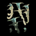 Enslavement Vinyl Reproduce Magic Black Spiritual - Jellyfish Rainforest -