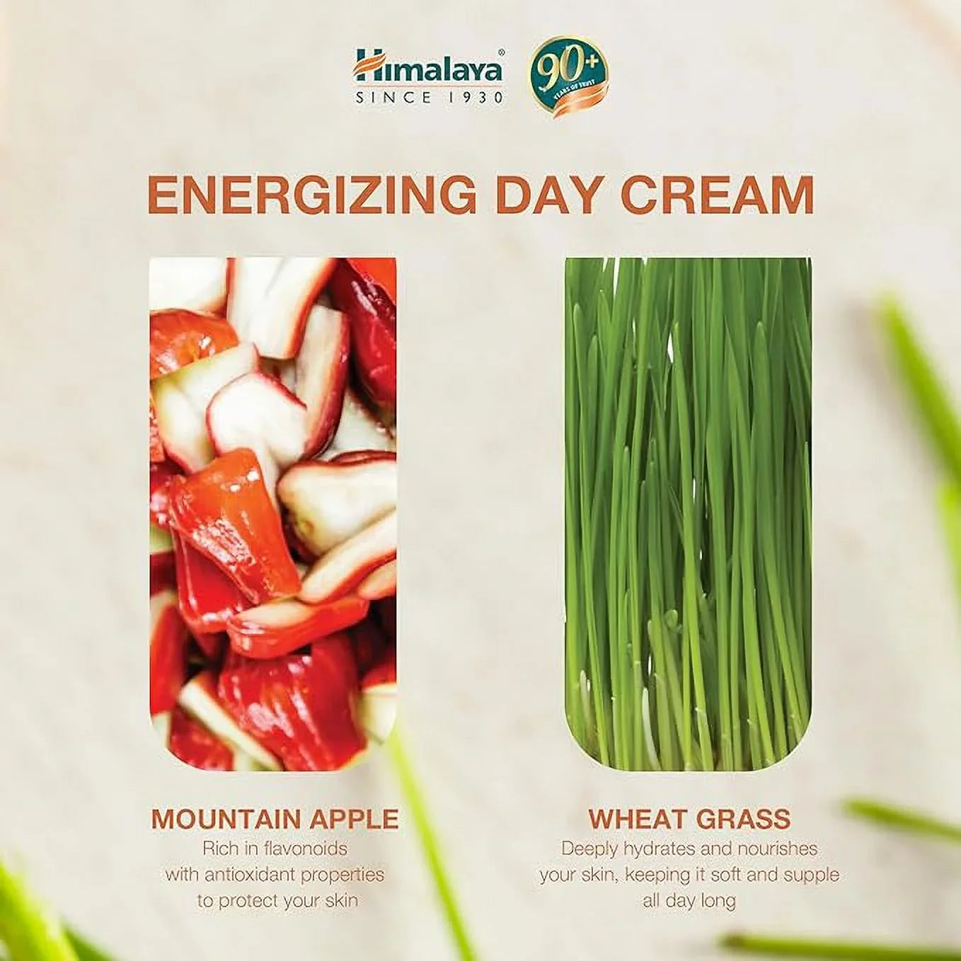 Day Himalaya Energizing Cream 50g