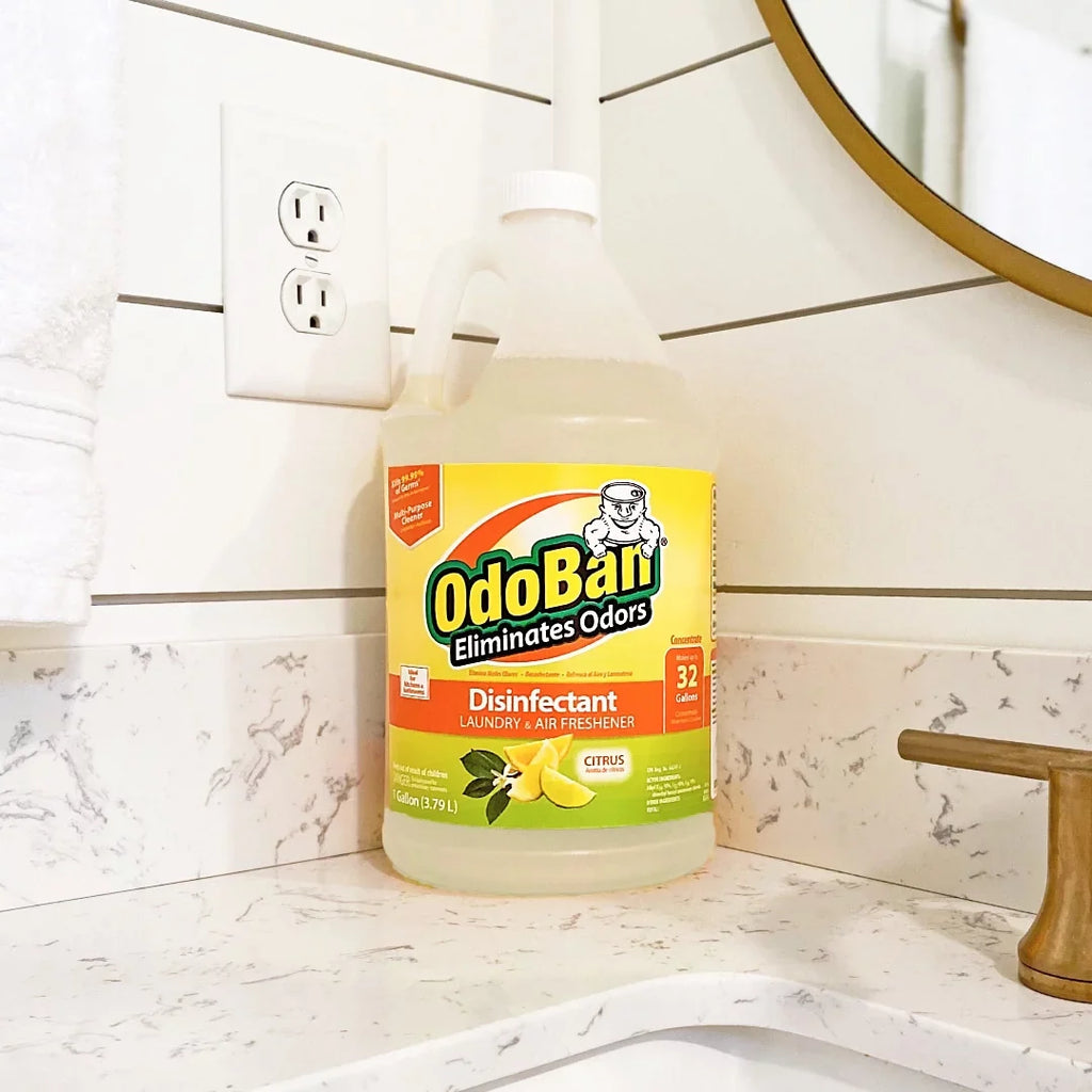 14 Set, 360-Degree Ounce OdoBan Citrus Aroma Scent Air Concentrate, Gallon Natural Eliminator Freshener, Orange Spray Real 10 Absorber Disinfectant Cleaning Oil Continuous 1 Solid Ounce Multipurpose