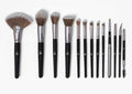 BH of Set Pro NOPLUS Studio Brush Cosmetics 13ps