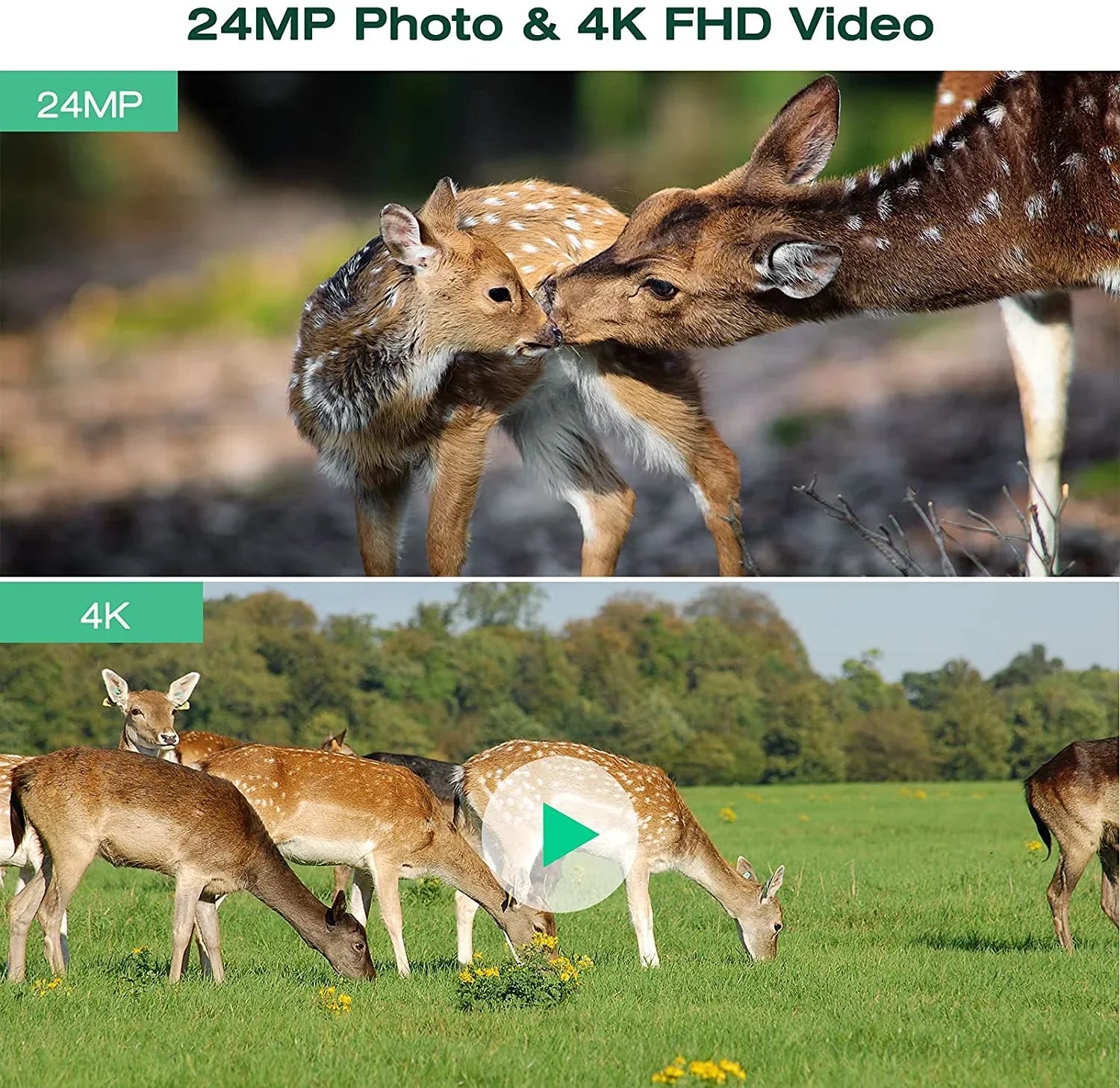 Night Trail 30fps Activated CAMPARK with Sensor Waterproof Camera 3 4K Monitoring Motion IP66 Angle Wildlife 120¡ã Deer PIR for 42MP Bluetooth WiFi Camera Trail Cam Hunting Wide Native Vision Game