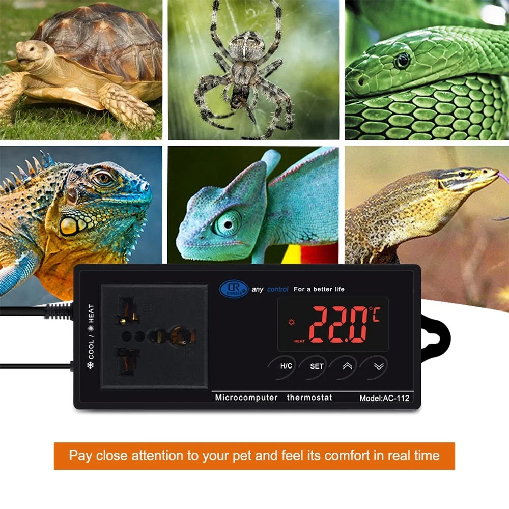 Reptiles Home Brewing Cooling Digital Freezer Incubation Lepmerk -40â~110â?Plug House with Green Temperature Chest Heating Controlled Thermostat Reptile Controller Thermostat Mode & for Outlet