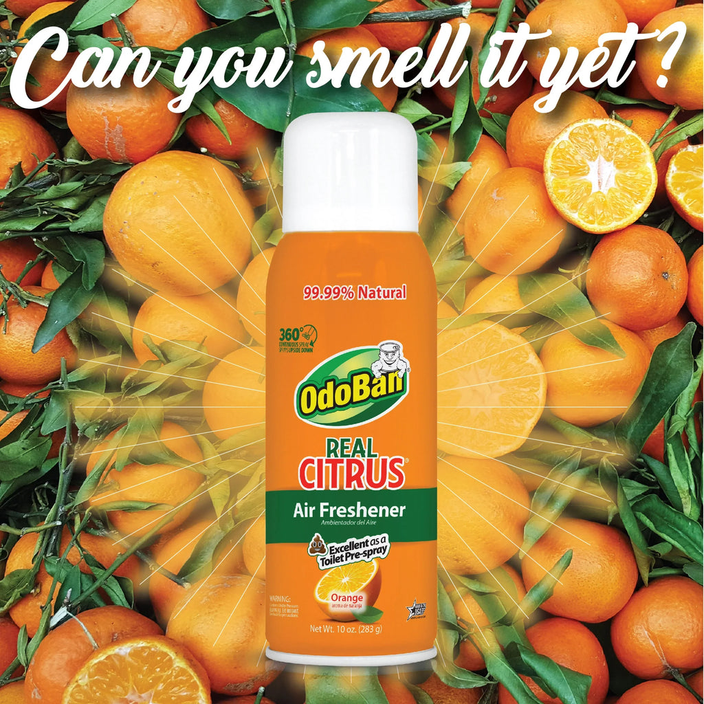 14 Set, 360-Degree Ounce OdoBan Citrus Aroma Scent Air Concentrate, Gallon Natural Eliminator Freshener, Orange Spray Real 10 Absorber Disinfectant Cleaning Oil Continuous 1 Solid Ounce Multipurpose